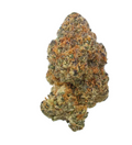 Premium THCa Flower (Indoor) Black Baccara